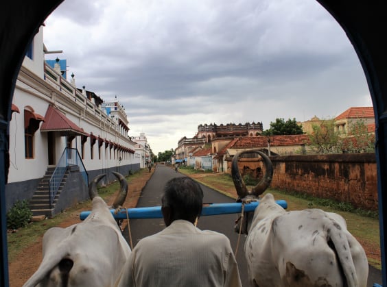 Meenakshi Temple Madurai